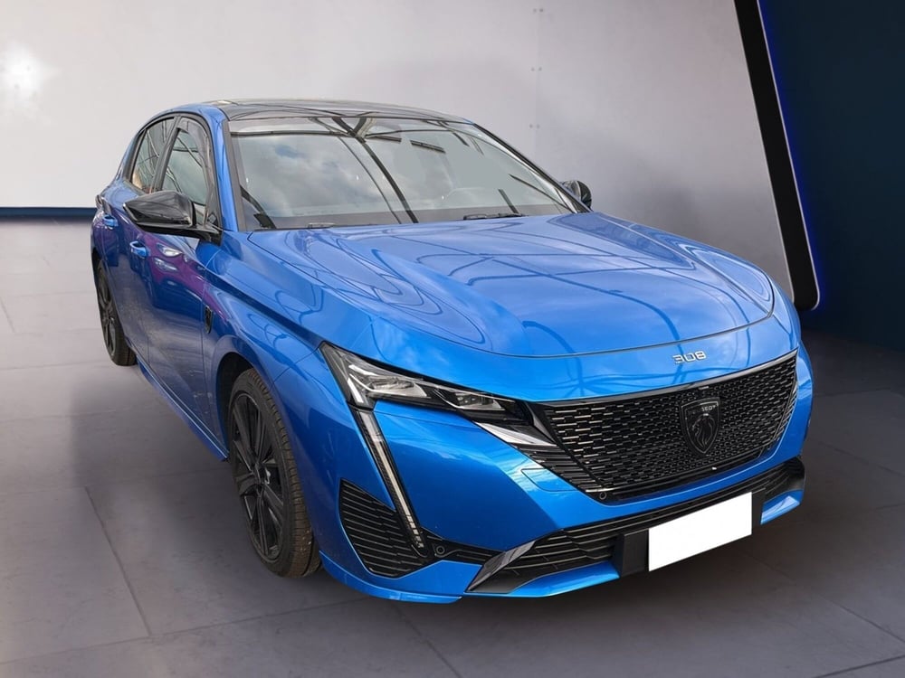 Peugeot 308 SW usata a Torino (3)