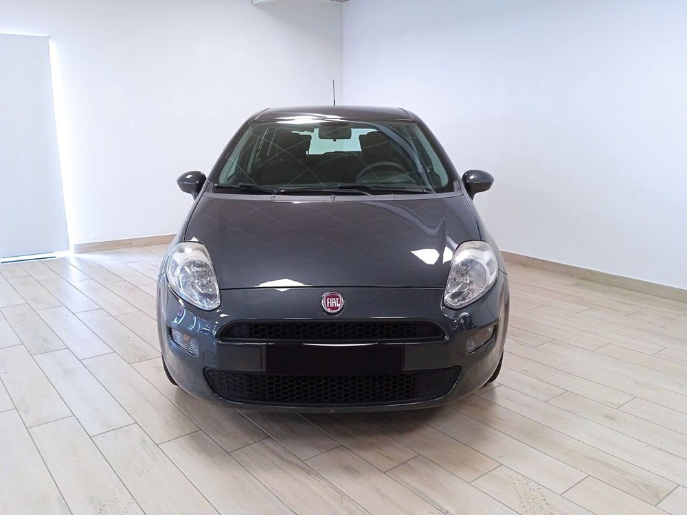 Fiat Punto usata a Torino (2)