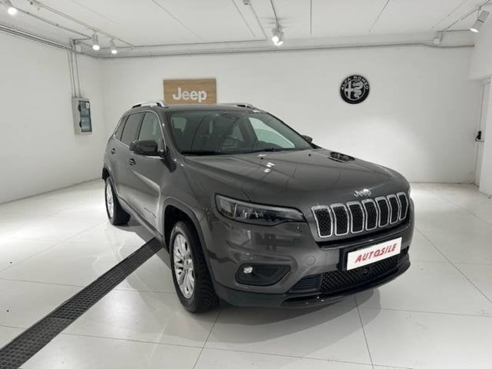 Jeep Cherokee usata a Treviso (3)