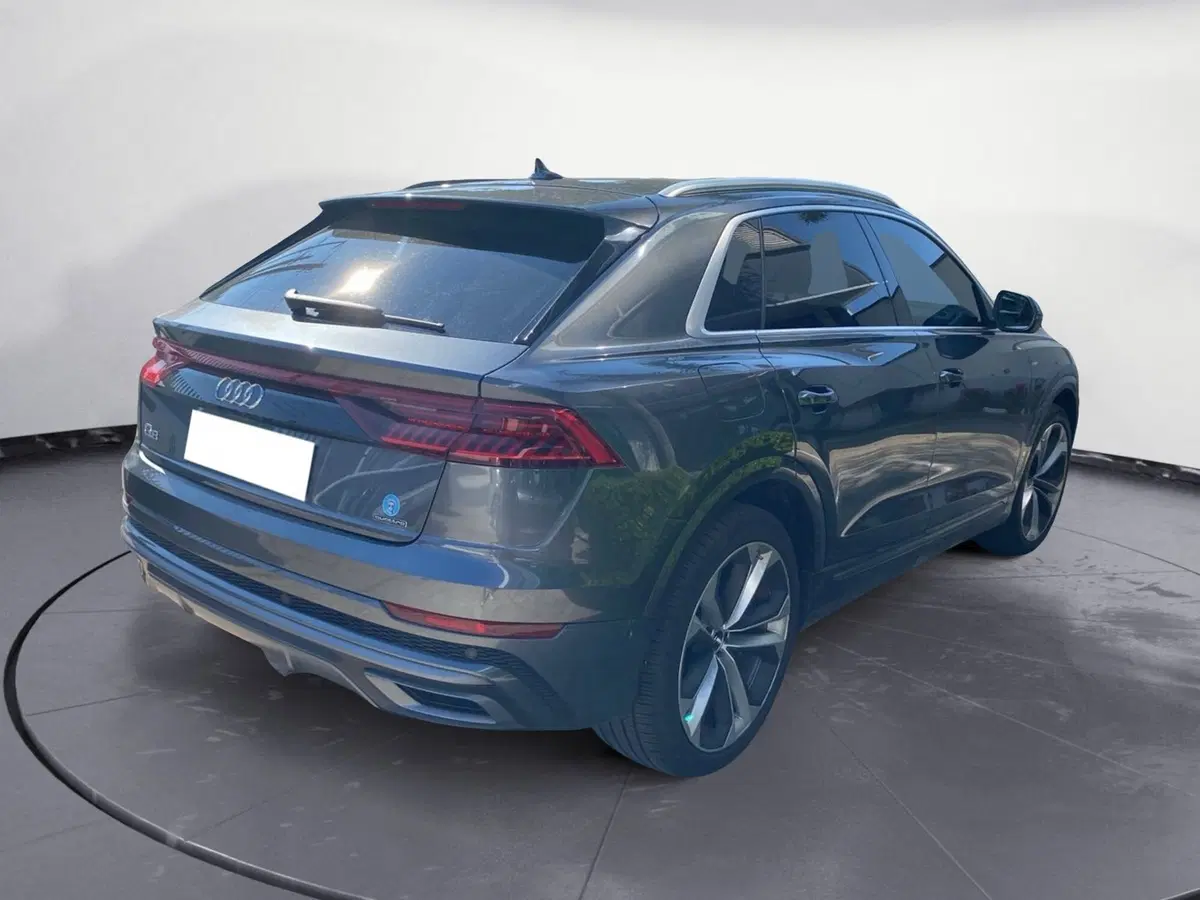 Audi Q8 usata a Reggio Calabria (3)