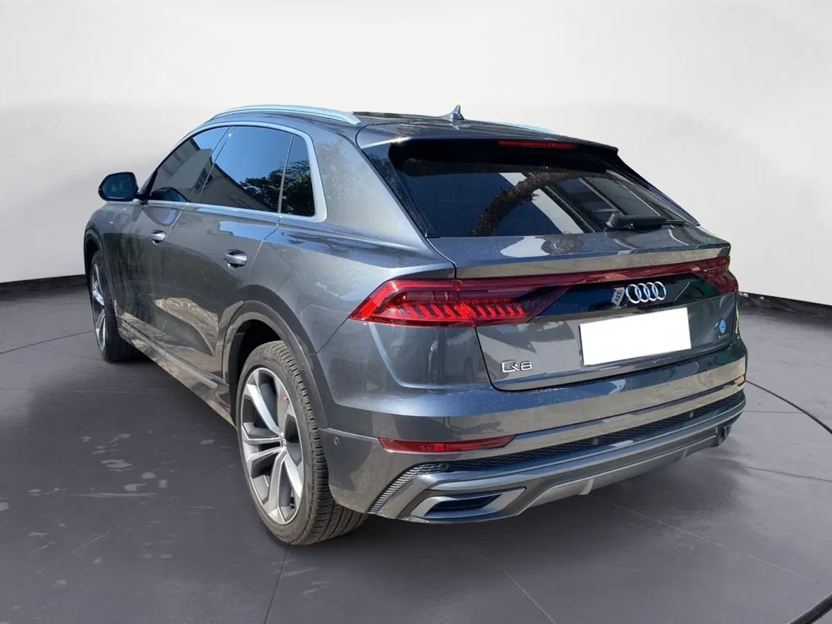 Audi Q8 usata a Reggio Calabria (7)