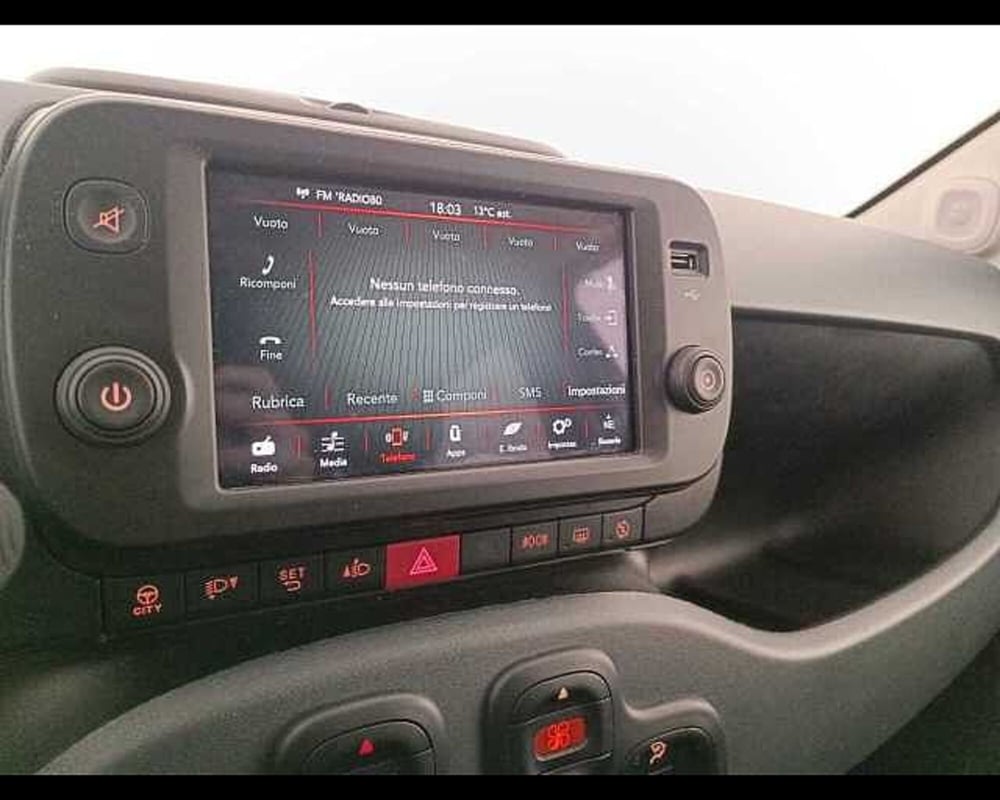 Fiat Panda Cross usata a Venezia (15)
