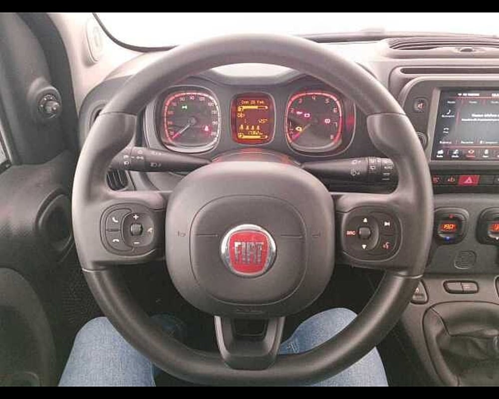 Fiat Panda Cross usata a Venezia (16)