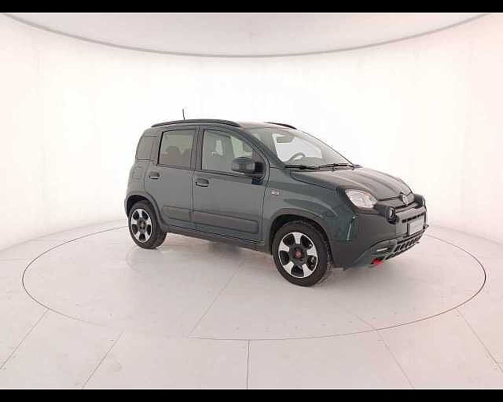 Fiat Panda Cross usata a Venezia (3)