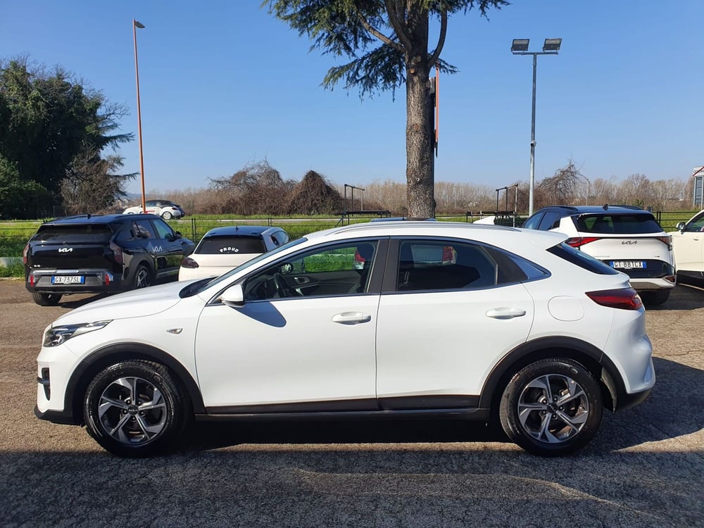 Kia XCeed usata a Rimini (4)