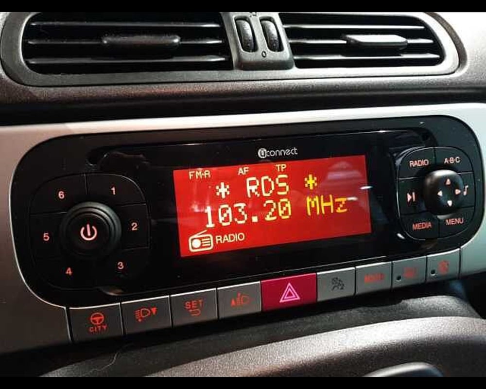 Fiat Panda Cross usata a Cuneo (19)