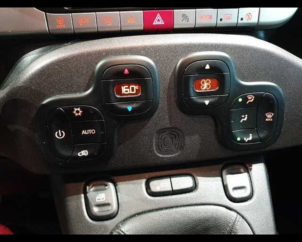 Fiat Panda Cross usata a Cuneo (20)
