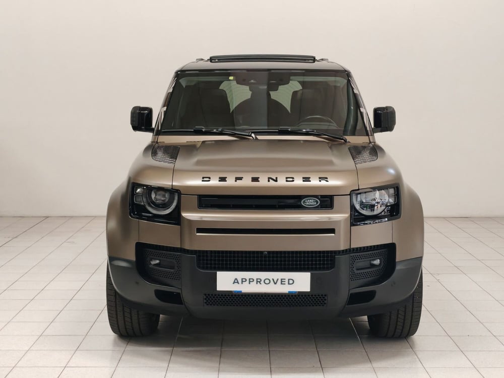 Land Rover Defender usata a Verbano Cusio Ossola (8)