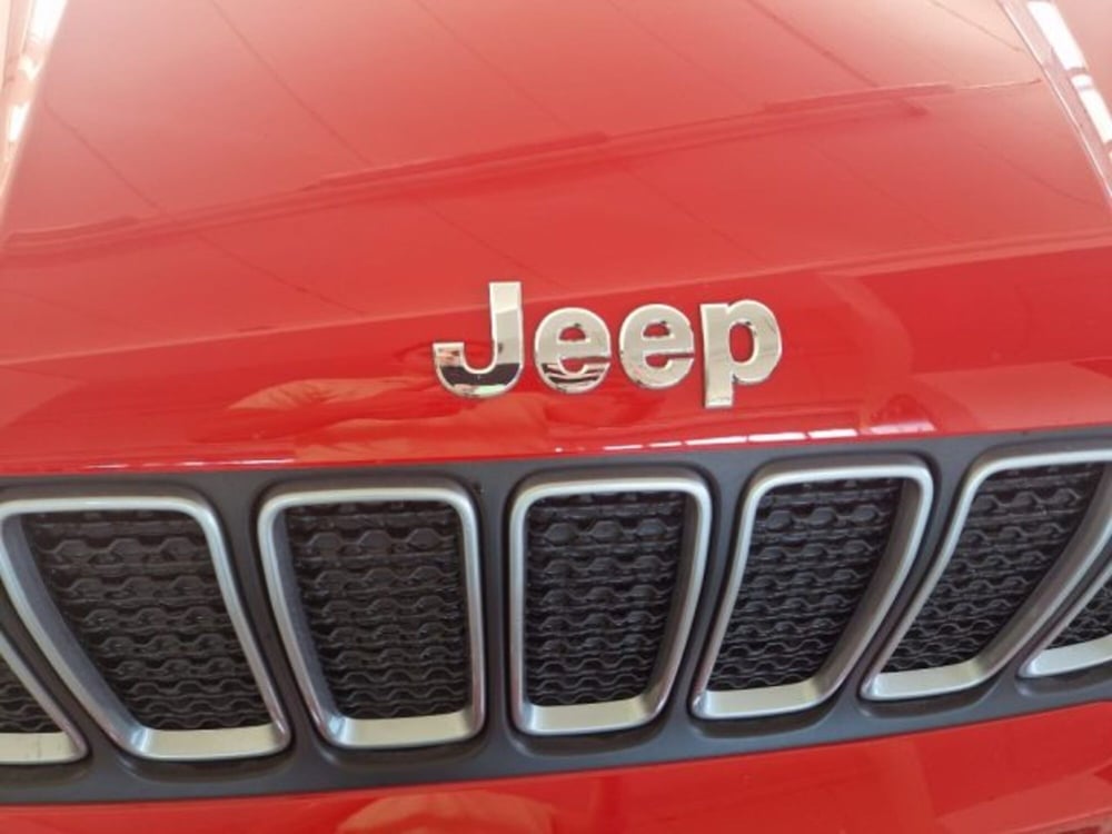 Jeep Renegade usata a Terni (19)