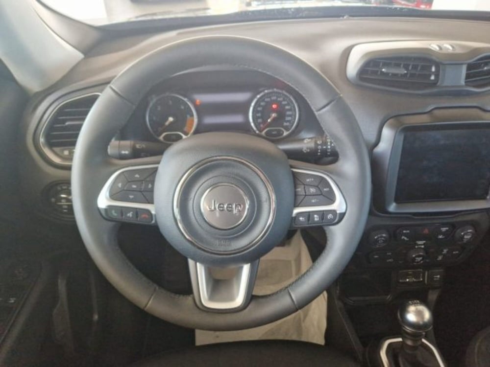Jeep Renegade usata a Terni (11)