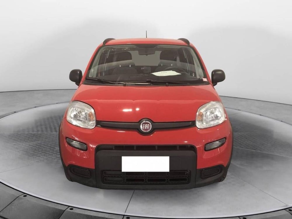 Fiat Panda usata a Torino (2)