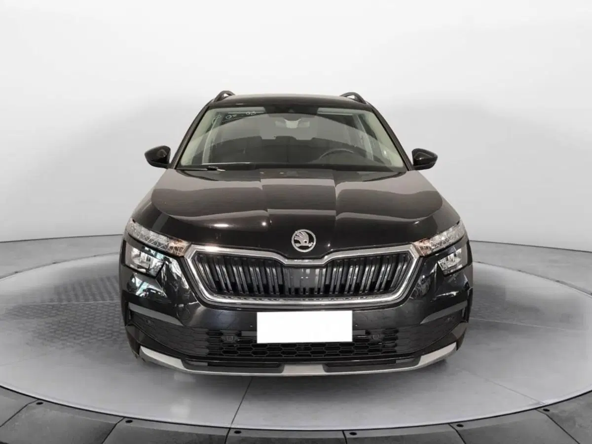 Skoda Kamiq usata a Torino (2)