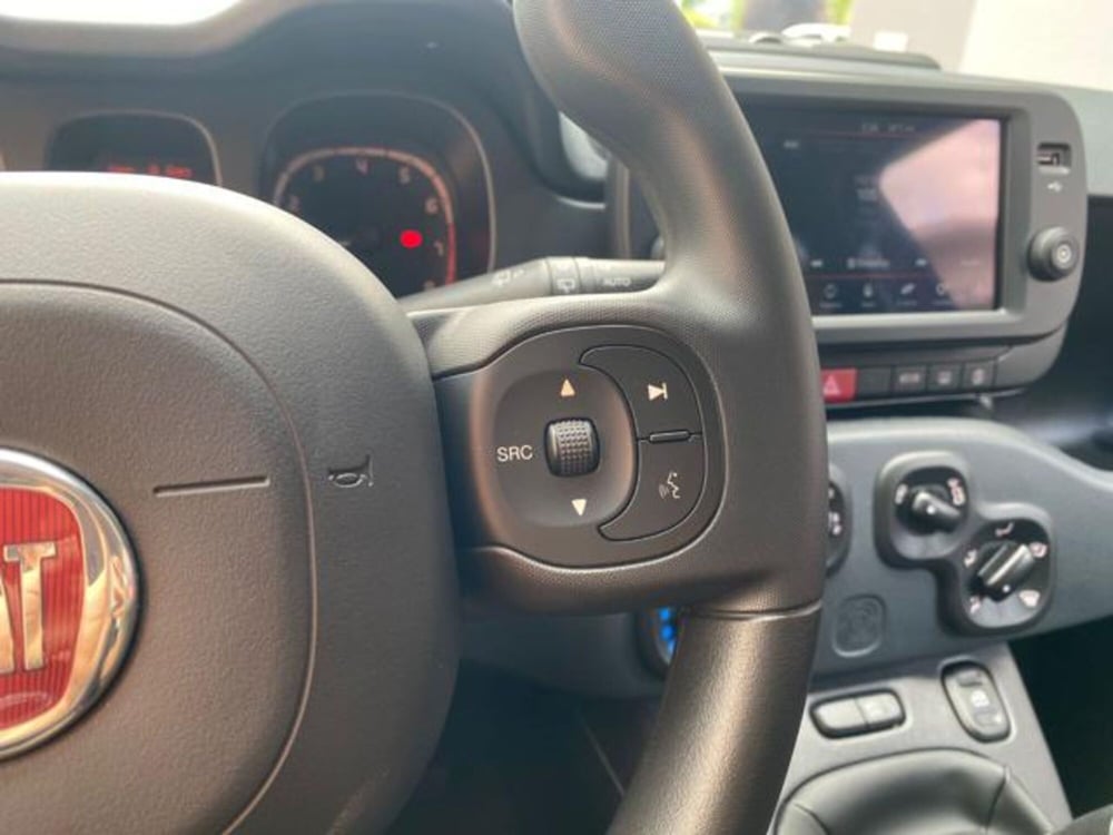 Fiat Panda Cross usata a Cuneo (13)