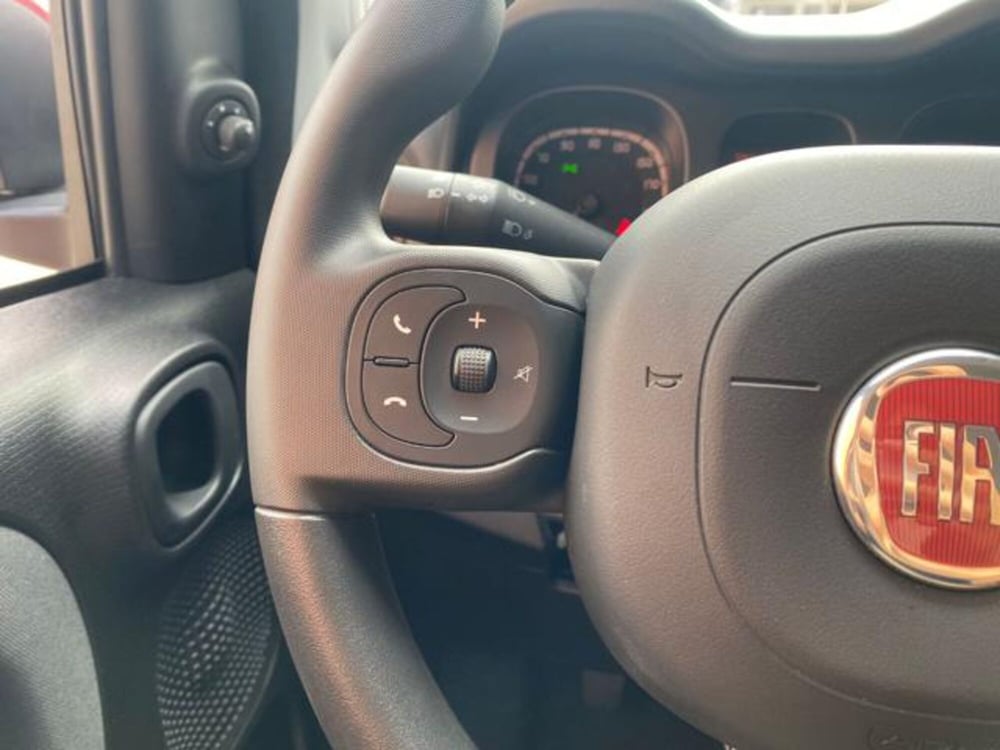 Fiat Panda Cross usata a Cuneo (7)