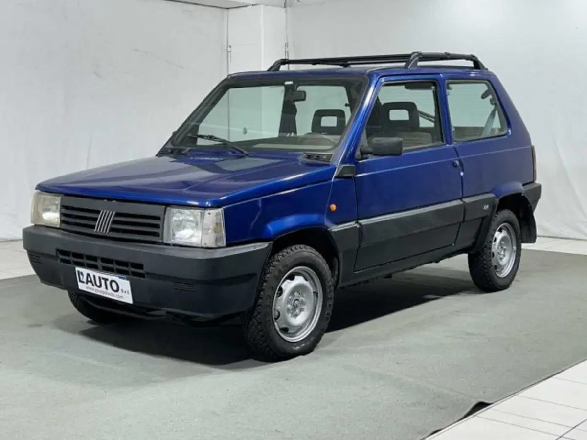 Fiat Panda usata a Sondrio