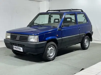 Fiat Panda 1100 i.e. cat 4x4 Trekking del 2001 usata a Montagna in Valtellina