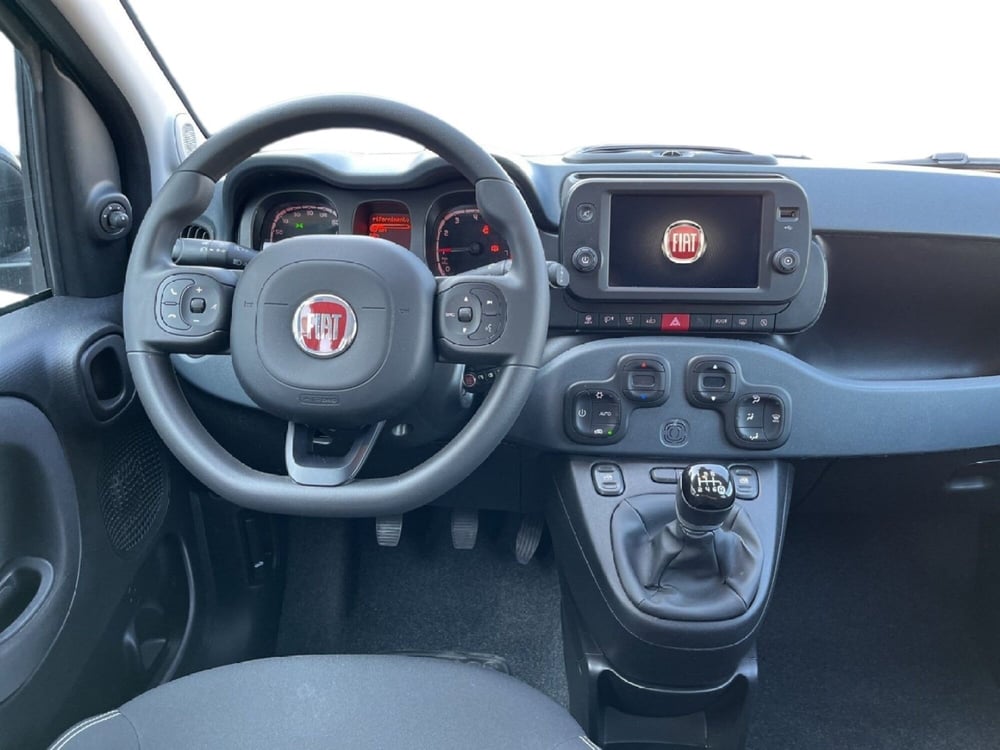 Fiat Panda Cross usata a Torino (11)