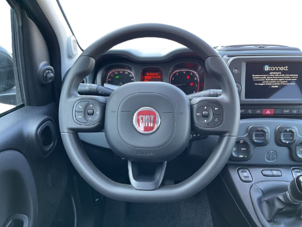 Fiat Panda Cross usata a Torino (12)
