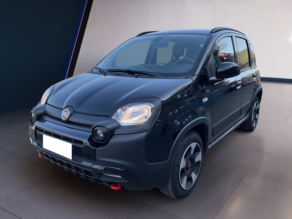 Fiat Panda Cross usata a Torino (2)