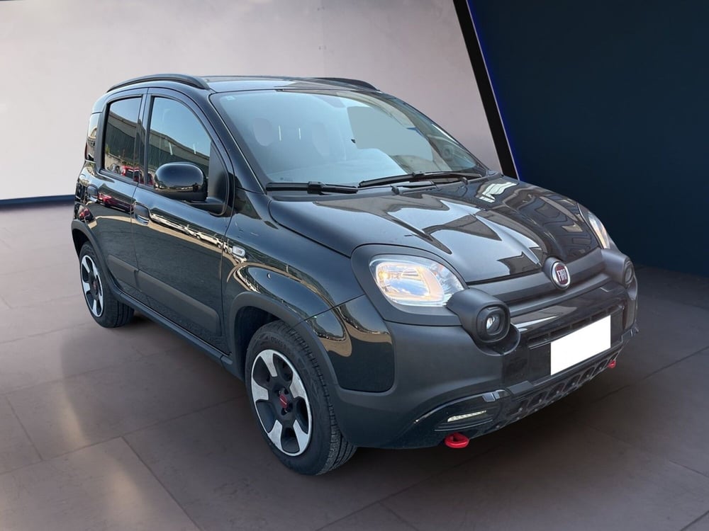Fiat Panda Cross usata a Torino (3)
