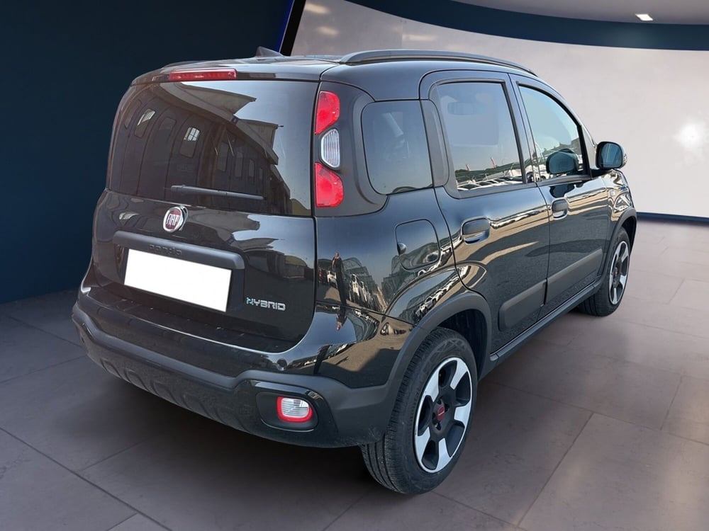 Fiat Panda Cross usata a Torino (4)