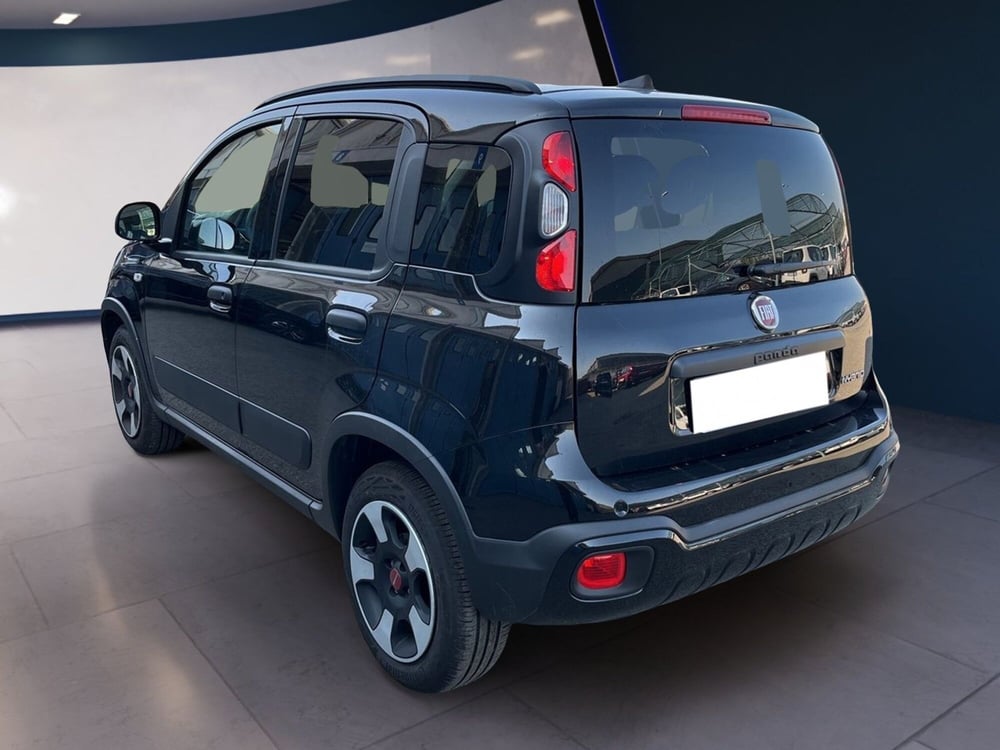 Fiat Panda Cross usata a Torino (5)