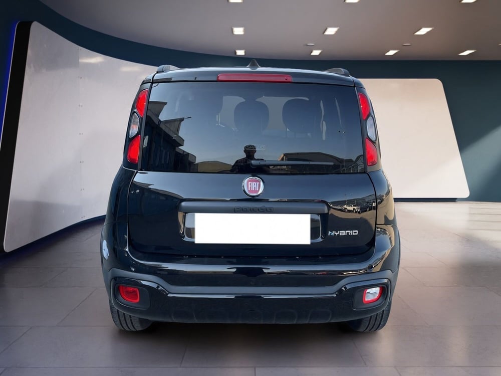 Fiat Panda Cross usata a Torino (6)