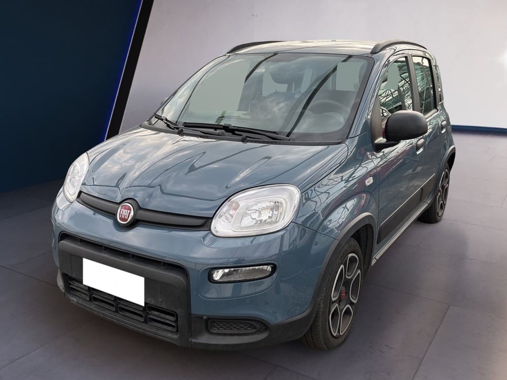 Fiat Panda usata a Torino (2)