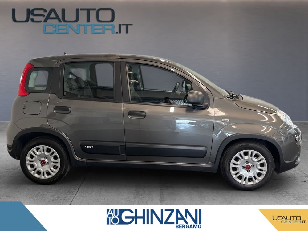Fiat Panda Cross usata a Bergamo (3)