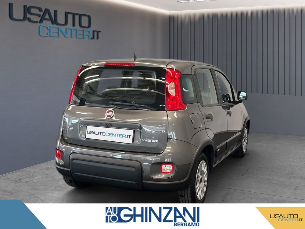 Fiat Panda Cross usata a Bergamo (4)