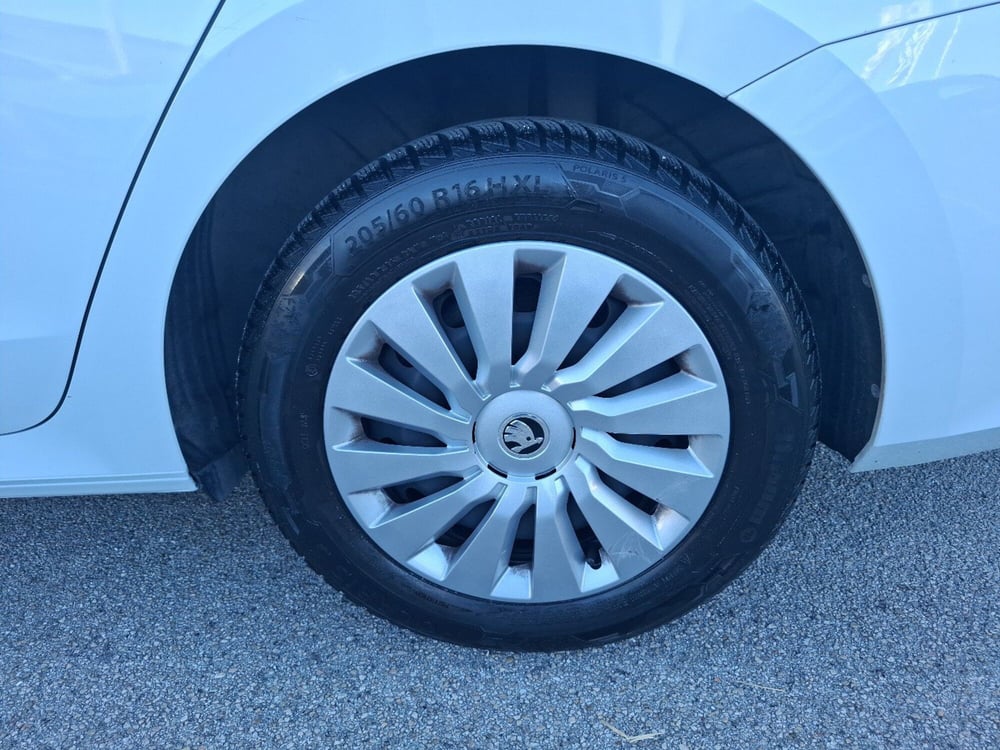 Skoda Octavia Station Wagon usata a Ancona (15)