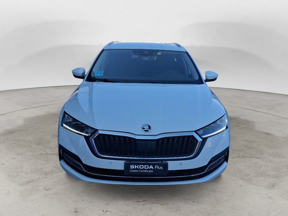 Skoda Octavia Station Wagon usata a Ancona (5)