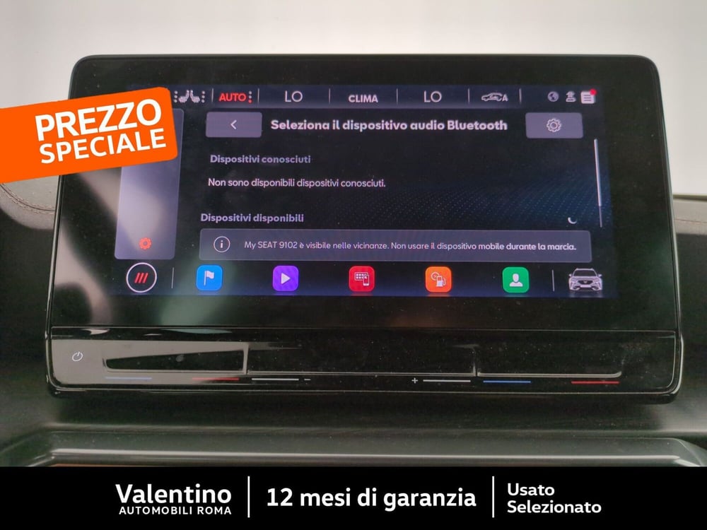 Cupra Formentor usata a Roma (20)