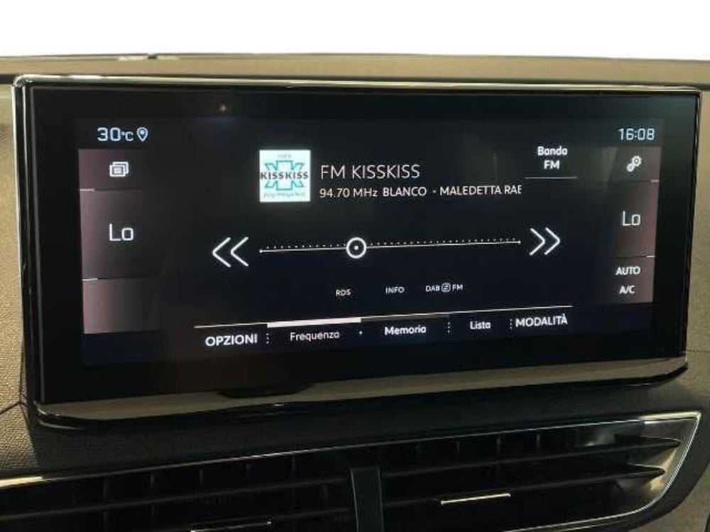 Peugeot 5008 usata a Pistoia (14)