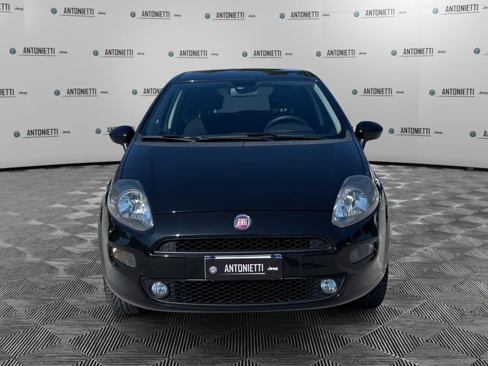 Fiat Punto usata a Ancona (2)