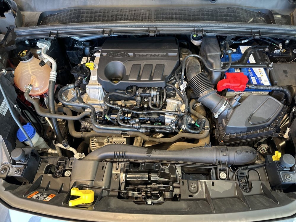 Ford Puma usata a Catanzaro (14)