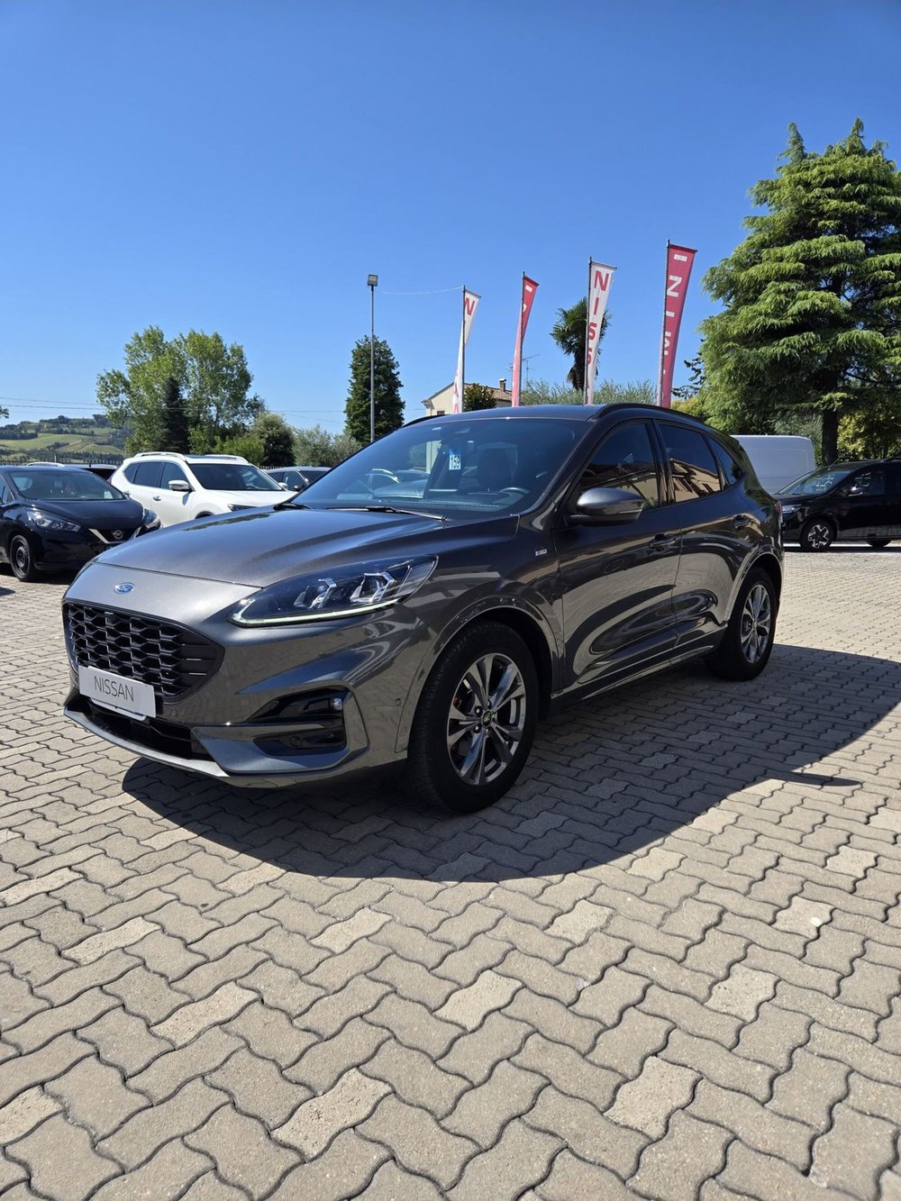 Ford Kuga usata a Macerata (4)