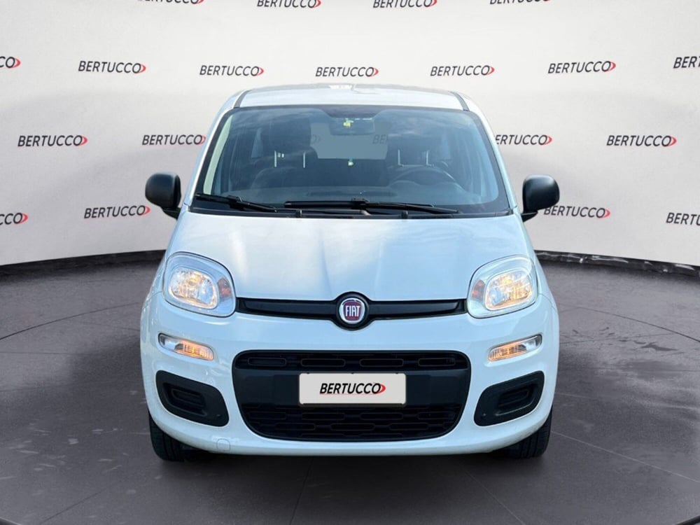 Fiat Panda usata a Verona (2)