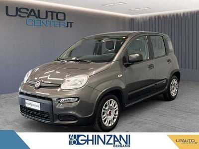 Fiat Panda 1.0 firefly hybrid Pop s&amp;s 70cv del 2022 usata a Bergamo