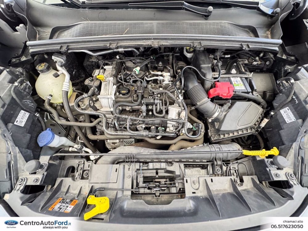 Ford Puma usata a Roma (12)