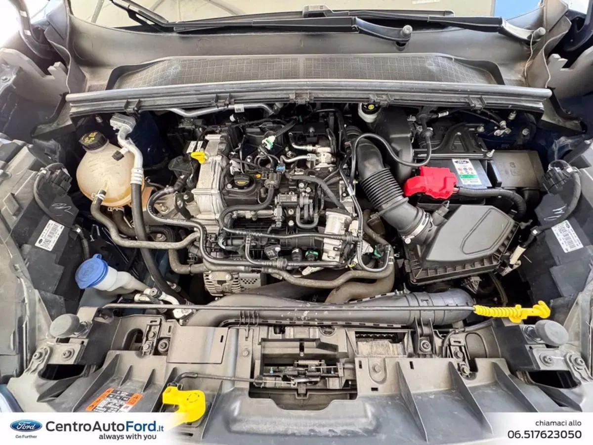 Ford Puma usata a Roma (13)