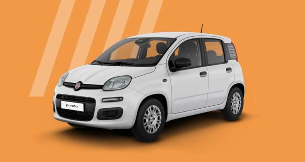 Fiat Panda nuova a Roma