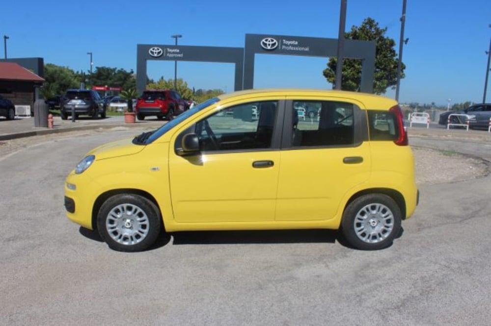 Fiat Panda nuova a Roma (3)