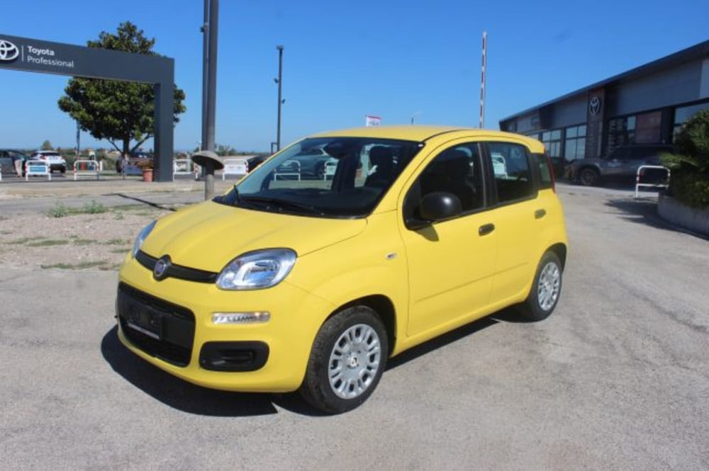 Fiat Panda nuova a Roma (2)