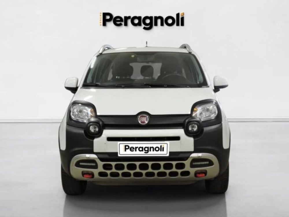 Fiat Panda Cross usata a Firenze (2)