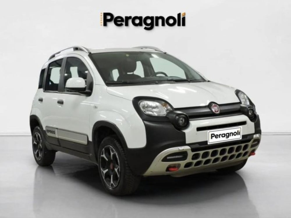Fiat Panda Cross usata a Firenze (3)