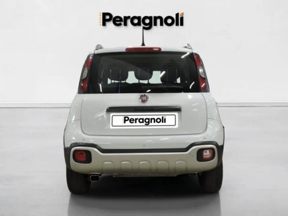 Fiat Panda Cross usata a Firenze (5)