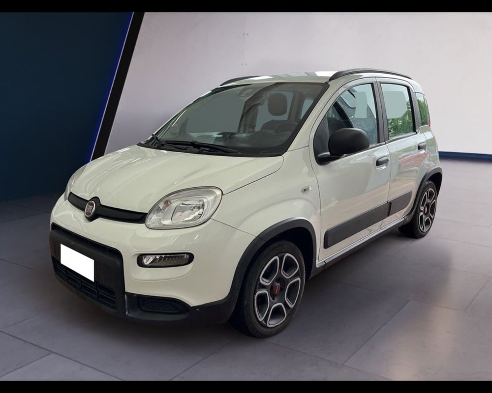 Fiat Panda usata a Torino (7)