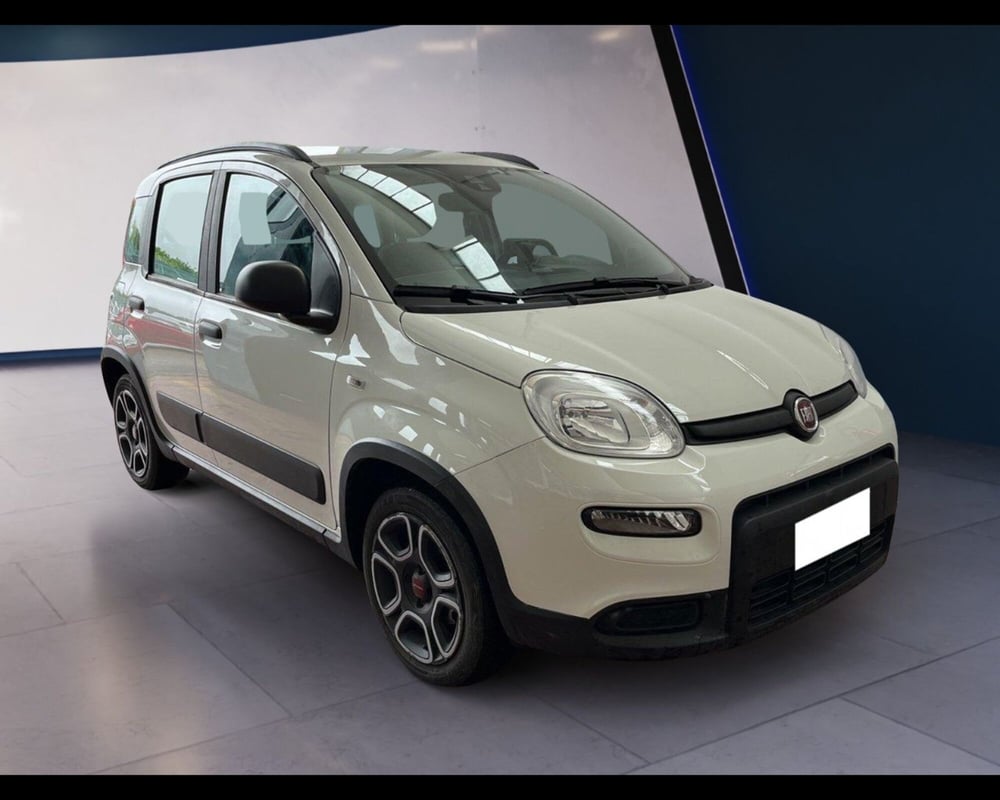 Fiat Panda usata a Torino (8)