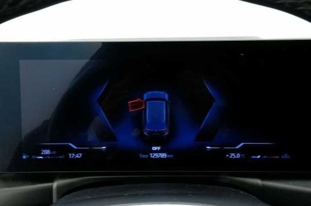 BMW Serie 3 Touring usata a Mantova (15)